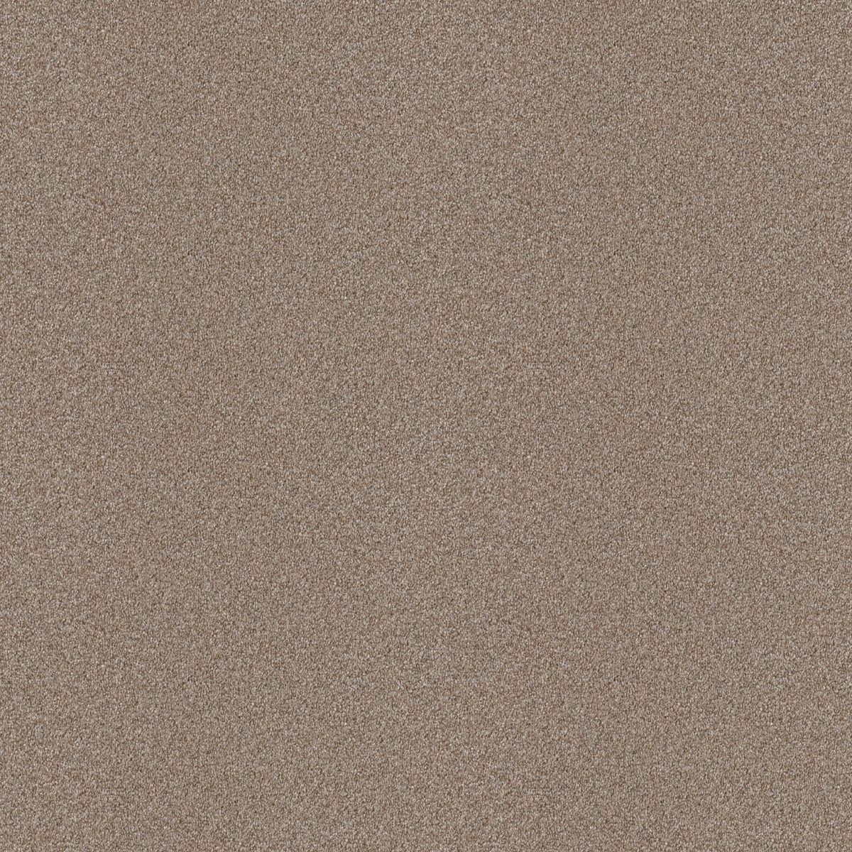 Shaw Floors Attainable (Tonal) Grecian Tan flooring