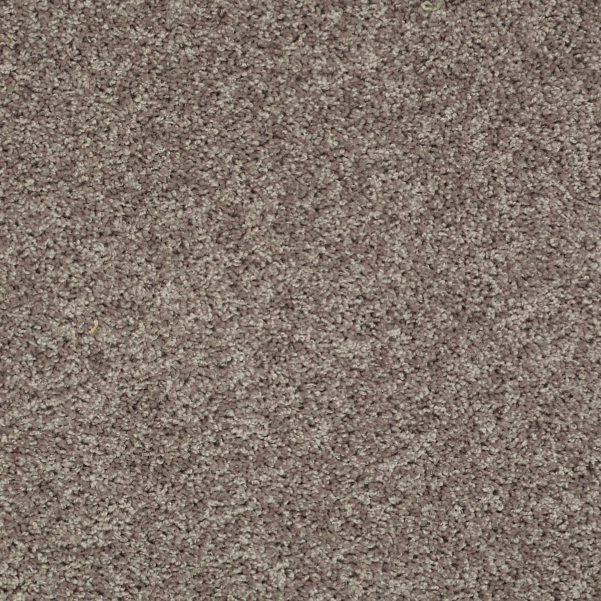 Shaw Floors Break Away (S) Charcoal flooring