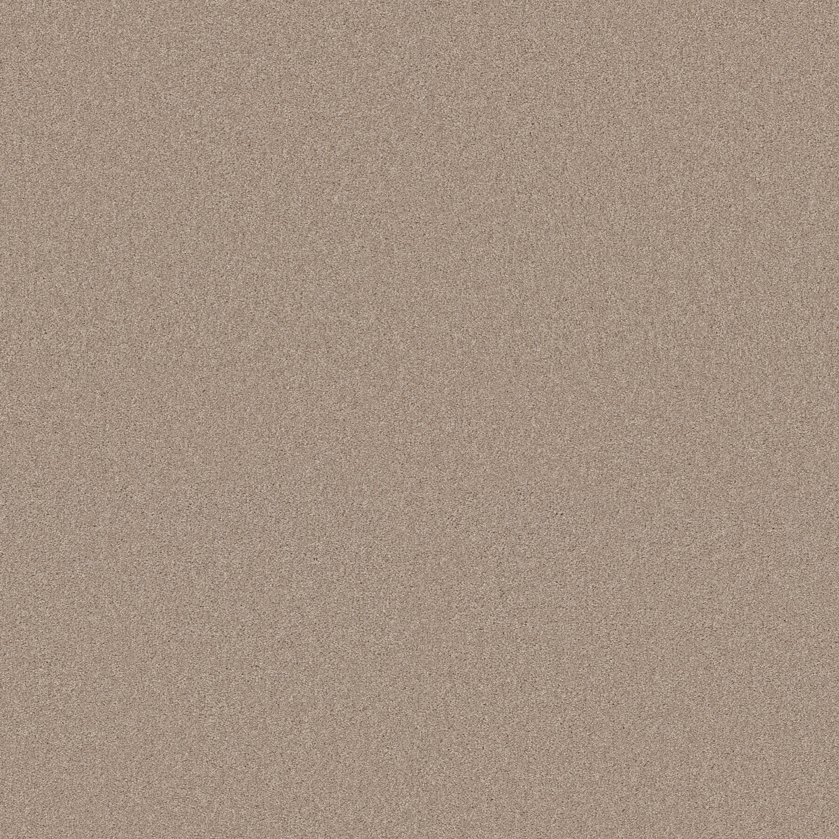 Shaw Floors Your Comfort I Dinner With Friends flooring