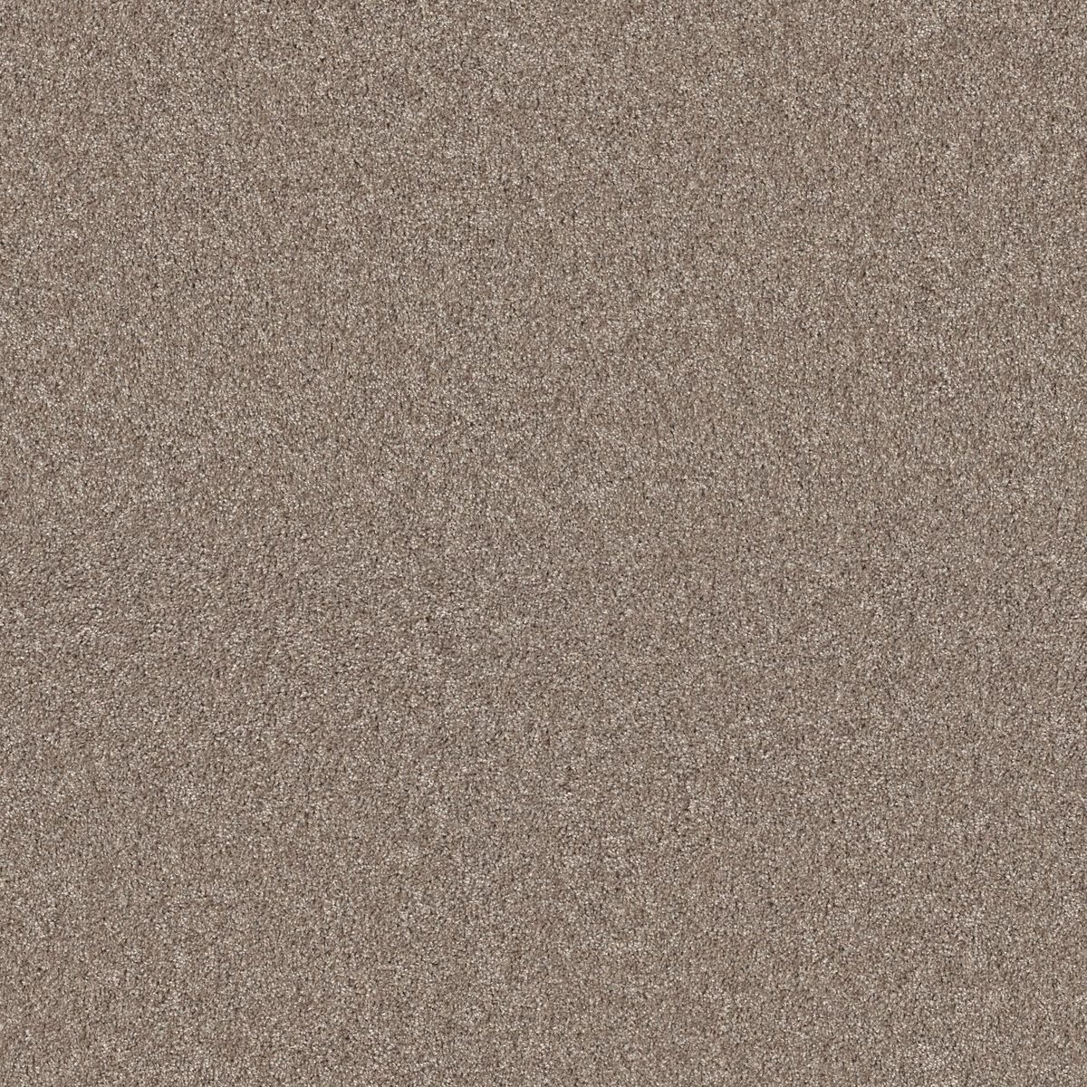 Shaw Floors Agility Owl flooring