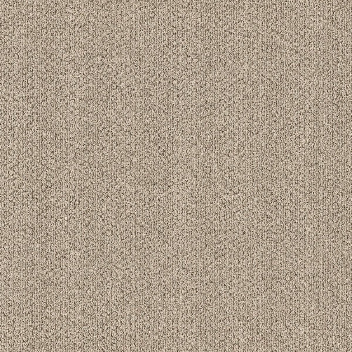 Shaw Floors Cathedral Hill II Cake Batter flooring
