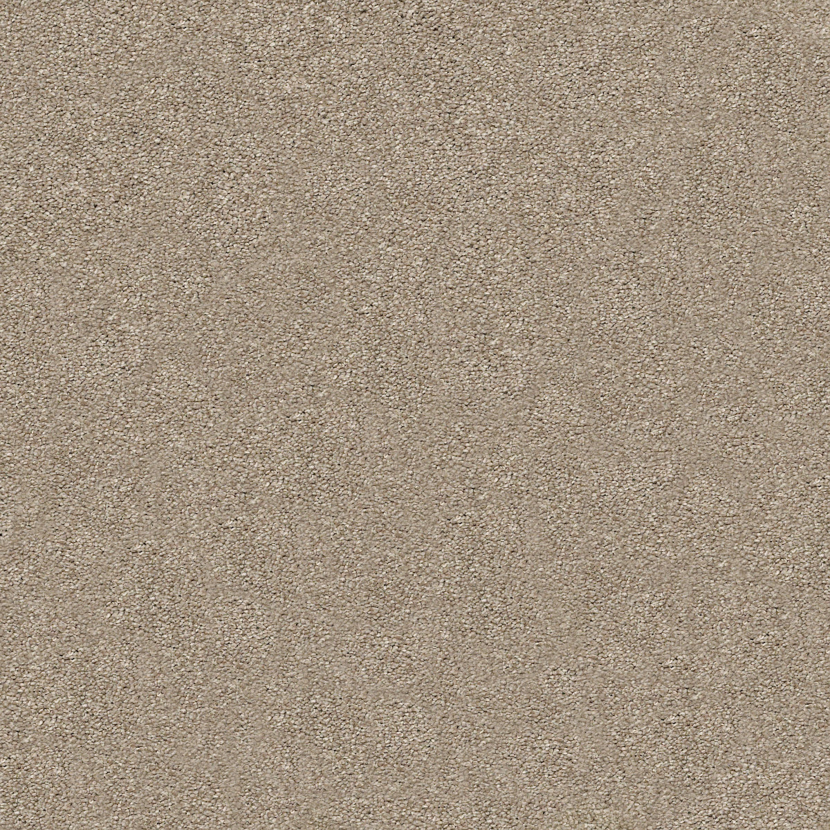 Shaw Floors Your Comfort I Dockside View flooring