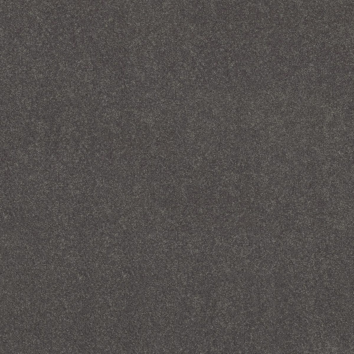 Shaw Floors Easy Spirit I Iron flooring