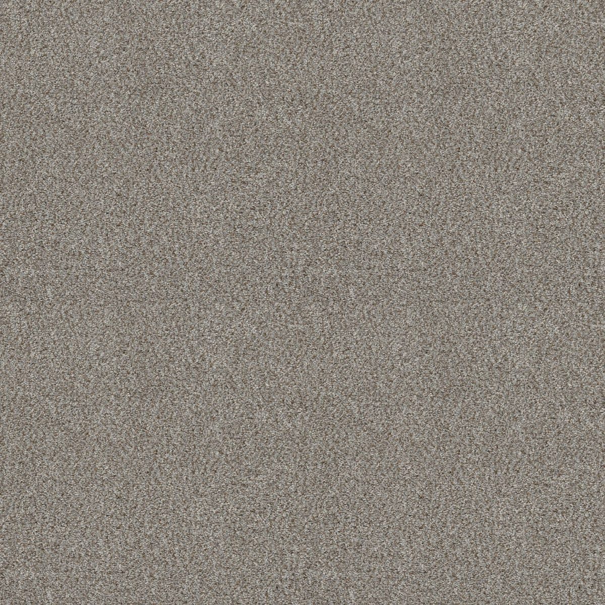 Shaw Floors Cabana Life (B) Stone flooring