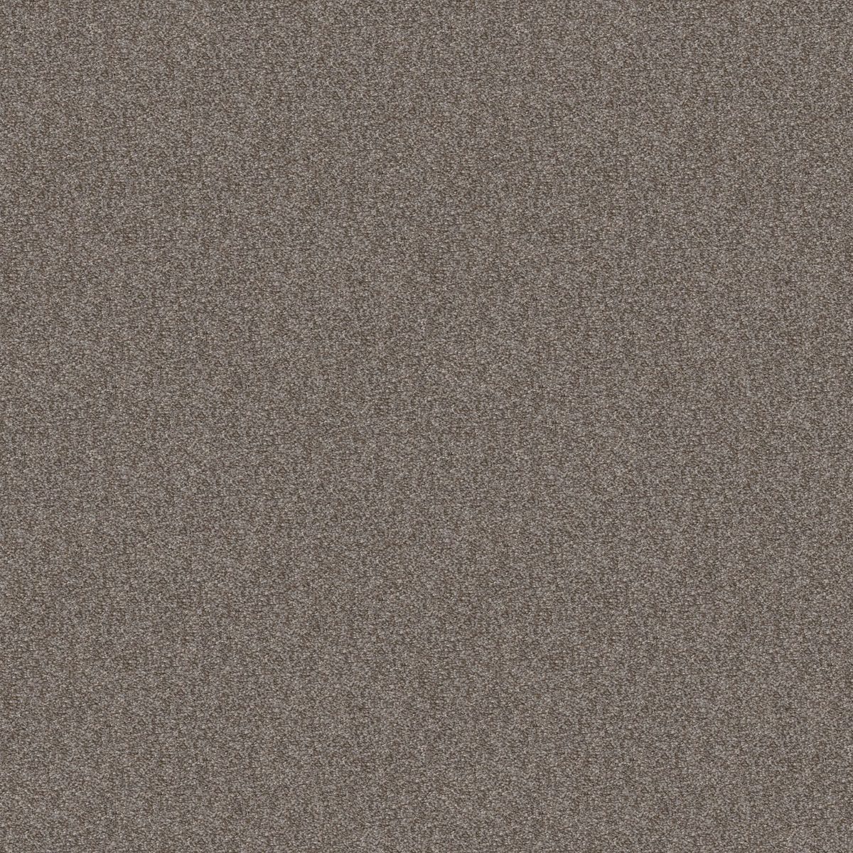 Shaw Floors Cabana Bay (T) Walking Trail flooring
