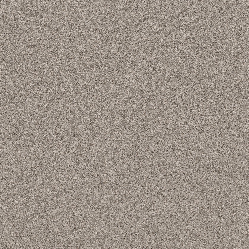 Shaw Floors Blended Touch II — Fusion Carpet sample