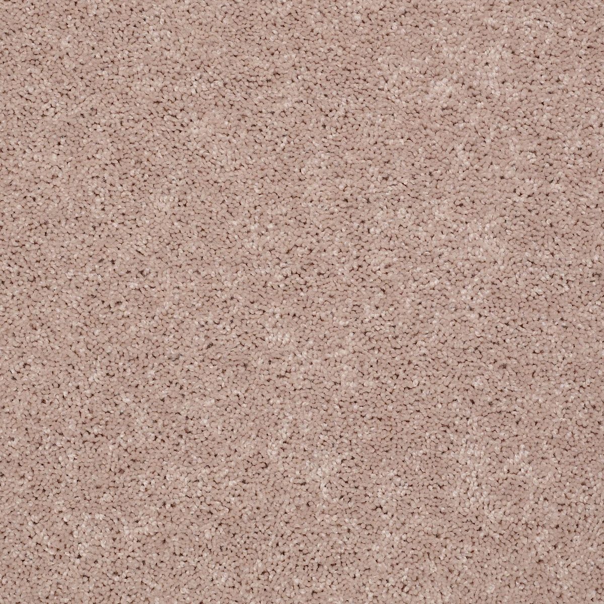 Shaw Floors All Star Weekend II Flax Seed flooring
