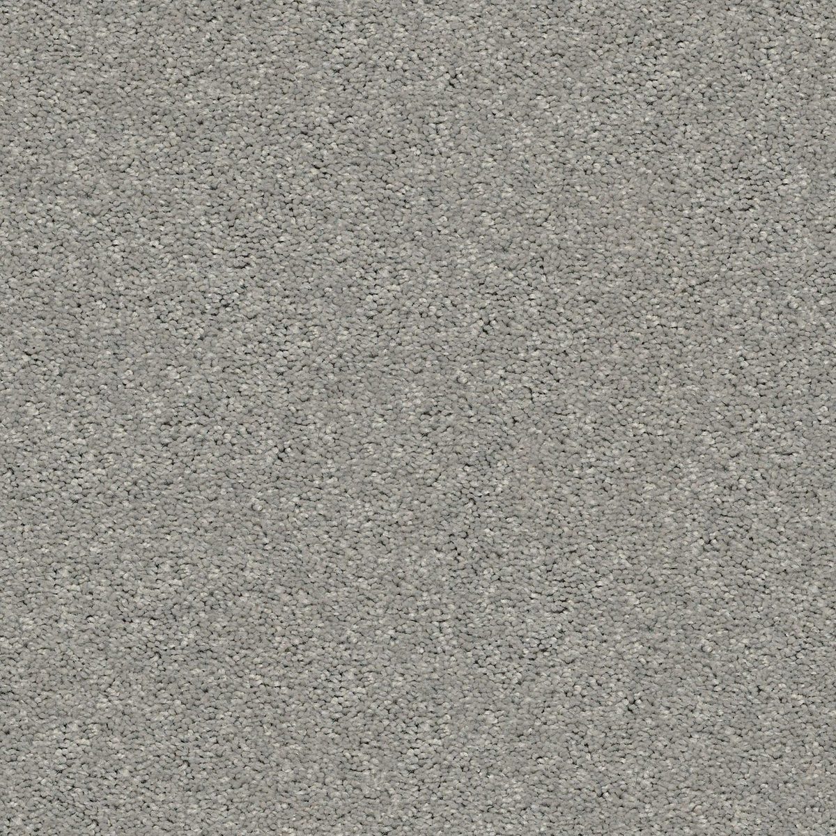 Shaw Floors Cabana Life (S) Dolphin flooring