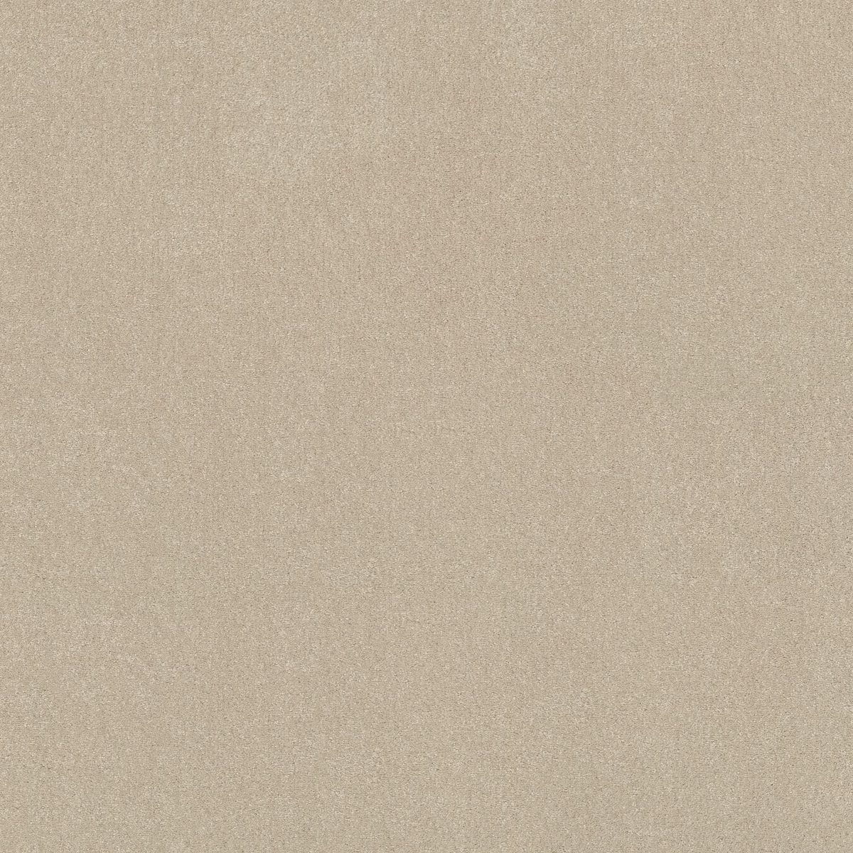 Shaw Floors Easy Spirit II Cream flooring