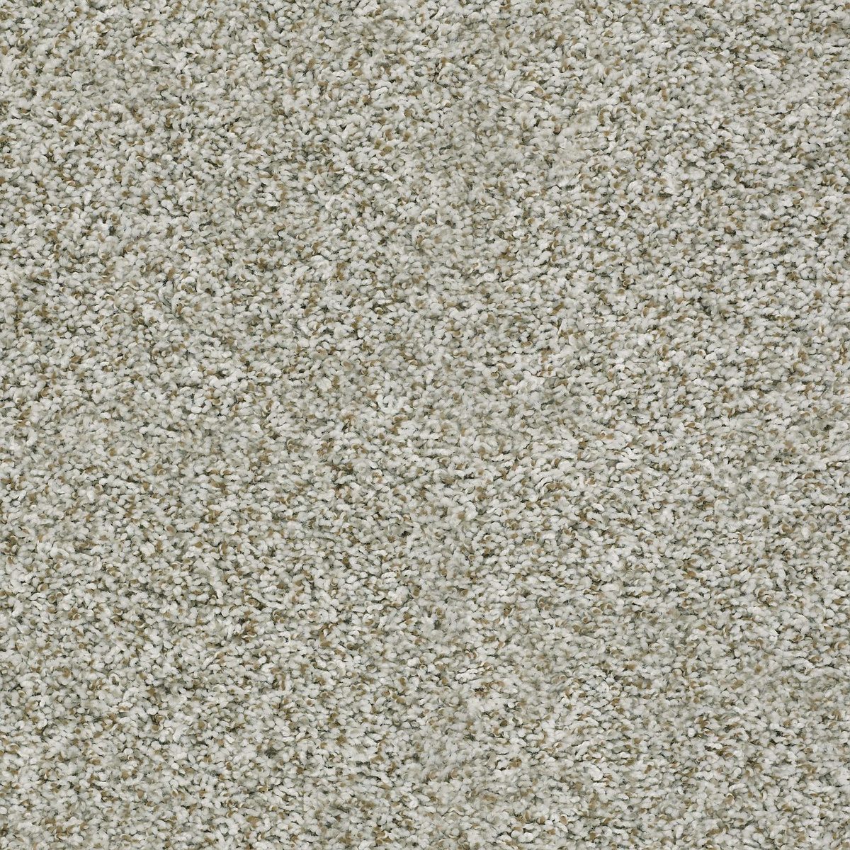 Shaw Floors Break Away (T) Snow Peak flooring