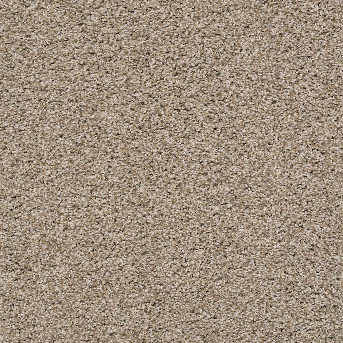 Shaw Floors Poised Cork flooring