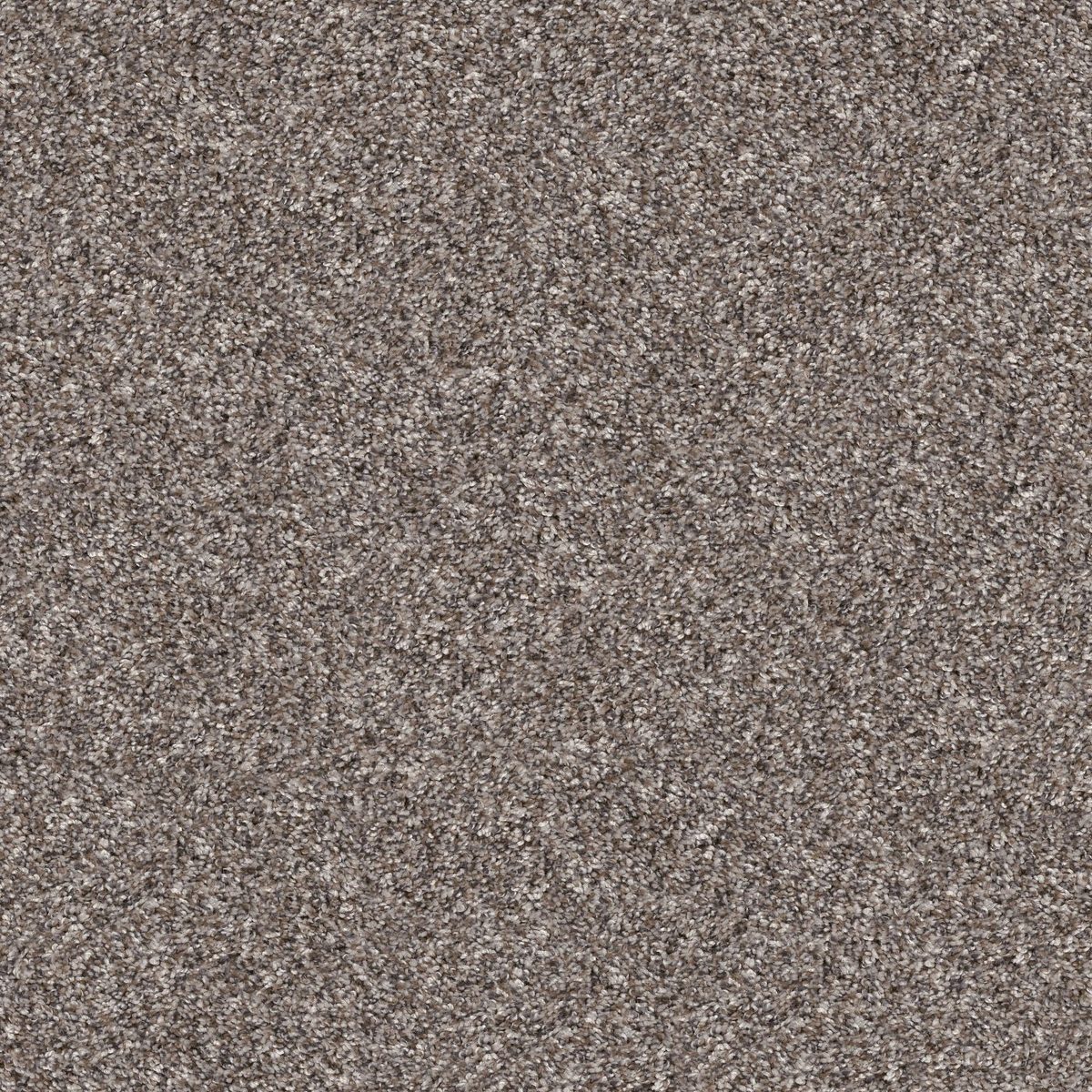 Shaw Floors Yes You Can II 12' Alaskan Air flooring