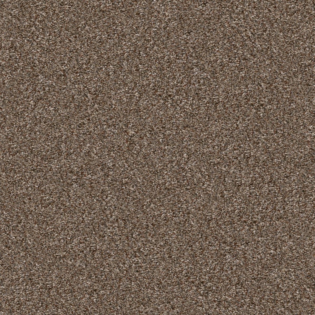 Shaw Floors Yes You Can II 12' Worn Path flooring