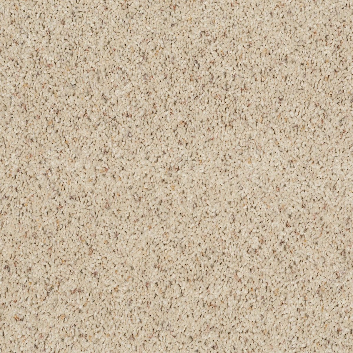 Shaw Floors Fusion Value 400 Cottage flooring
