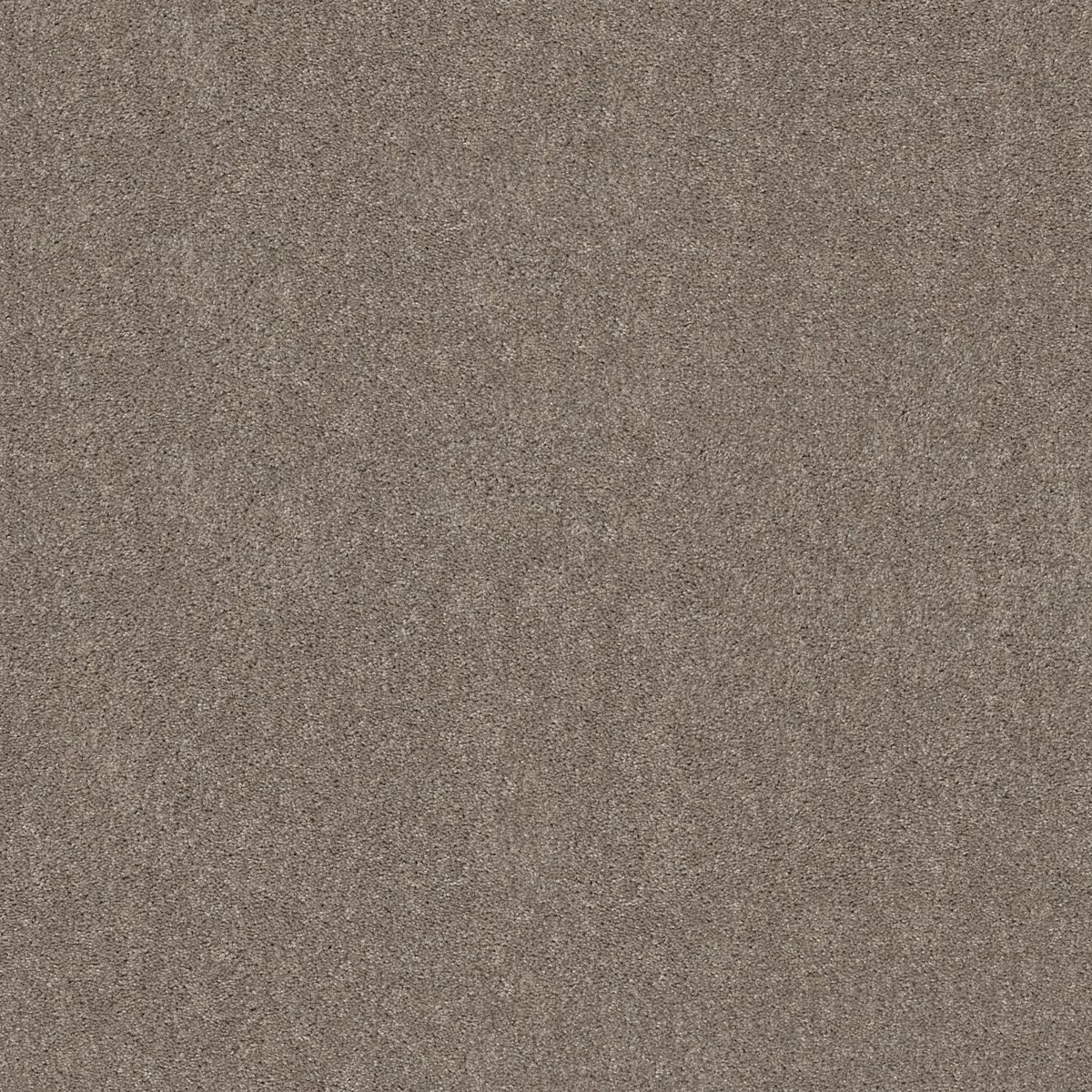 Shaw Floors Hot Topic Studio Loft flooring
