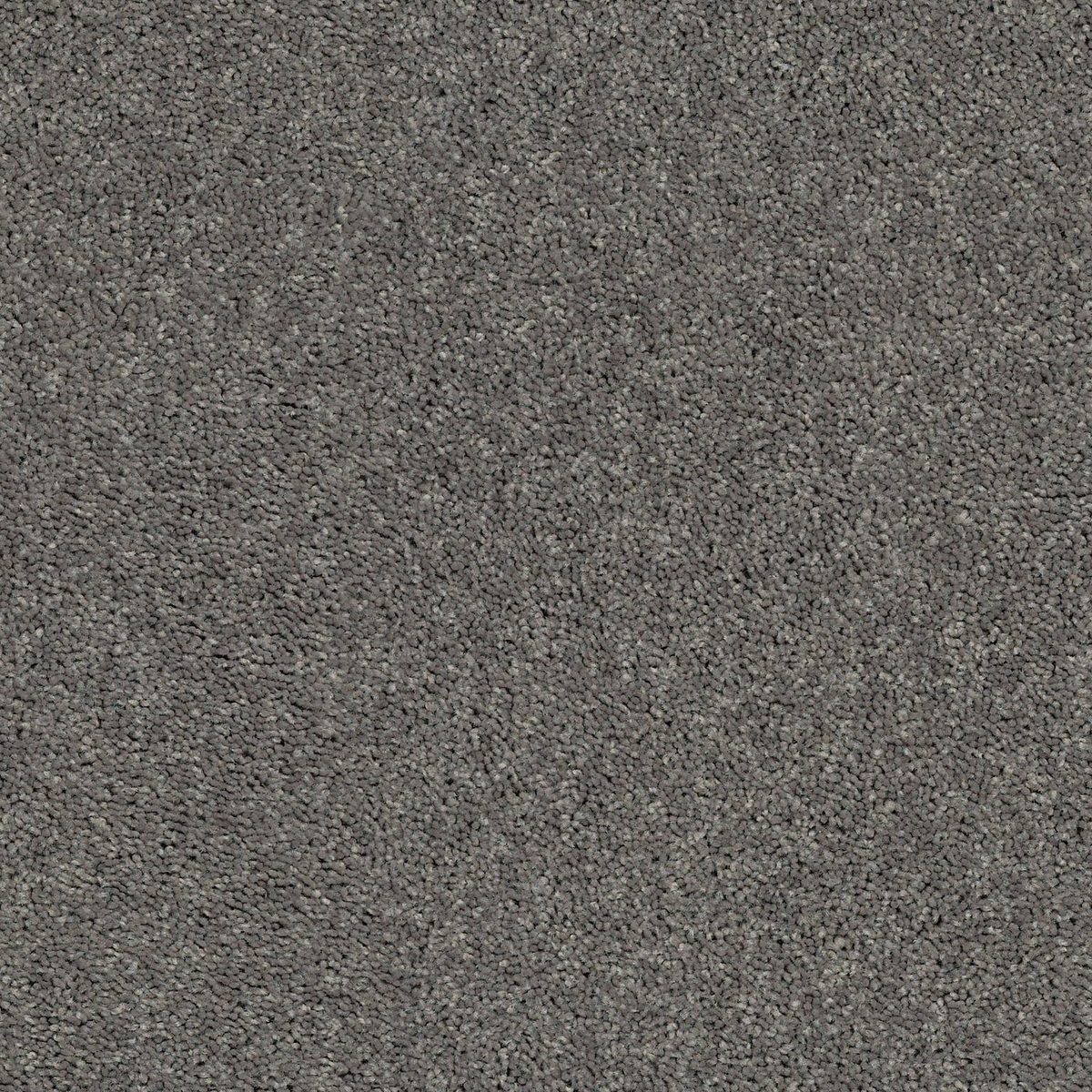 Shaw Floors Cabana Bay (S) Tree Bark flooring