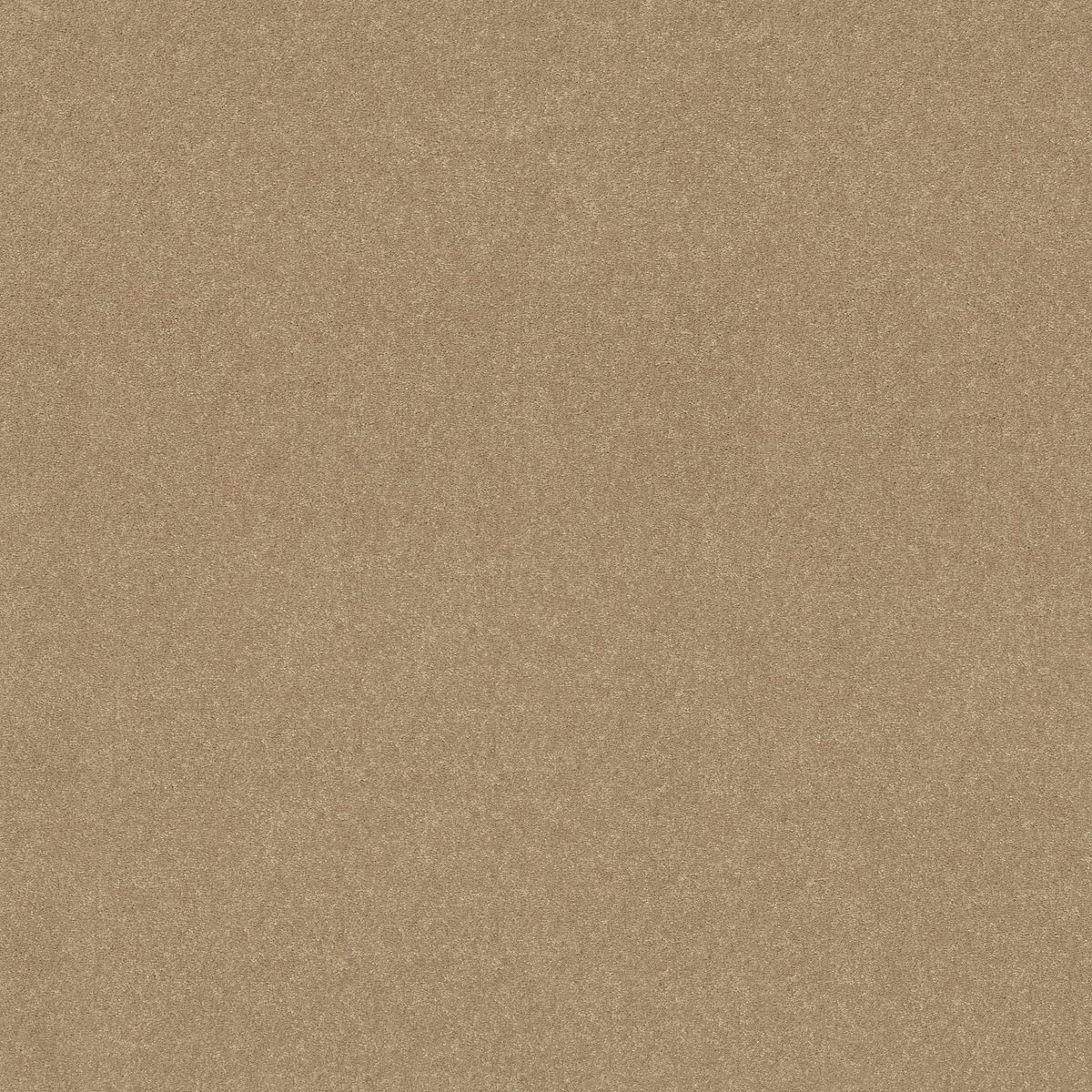 Shaw Floors Easy Spirit I Tuscan Sun flooring