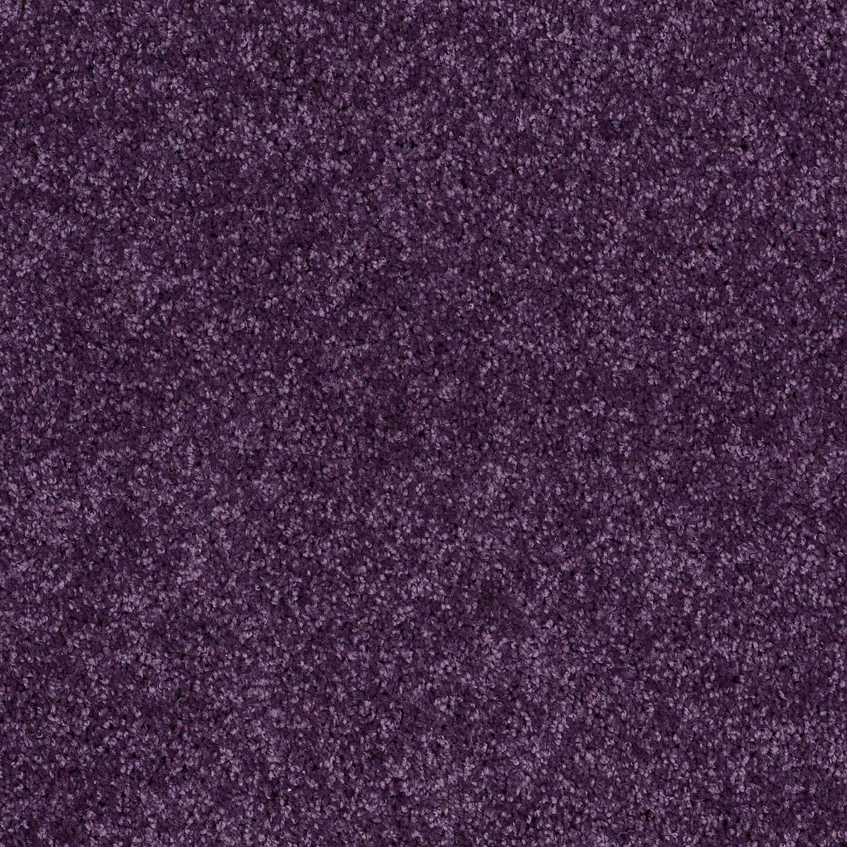 Shaw Floors All Star Weekend II Grape Slushy flooring