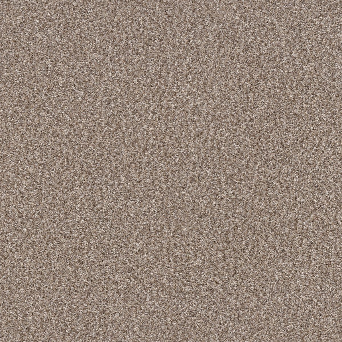 Shaw Floors Yes You Can I 12' Glacier flooring