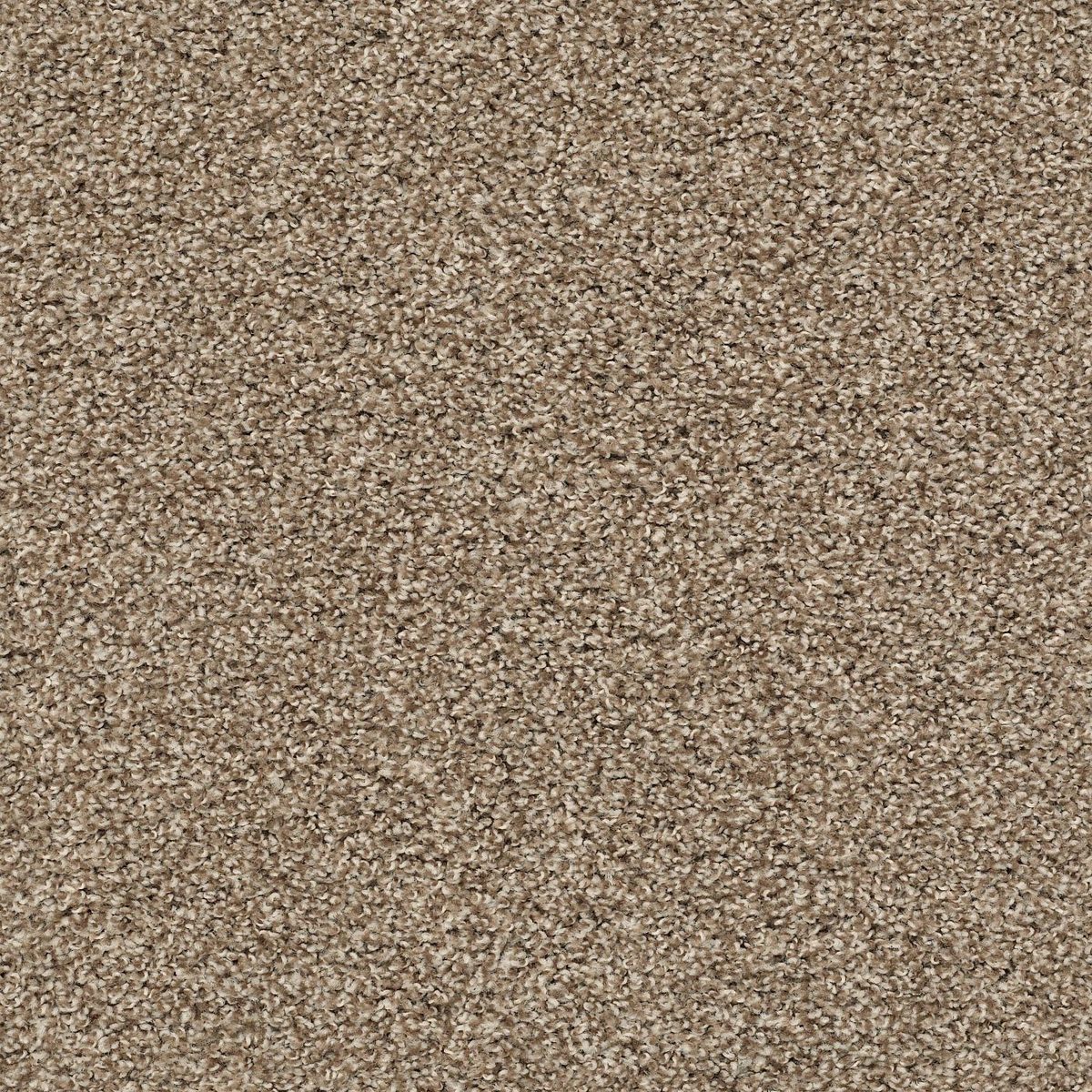 Shaw Floors Poised Brown Sugar flooring