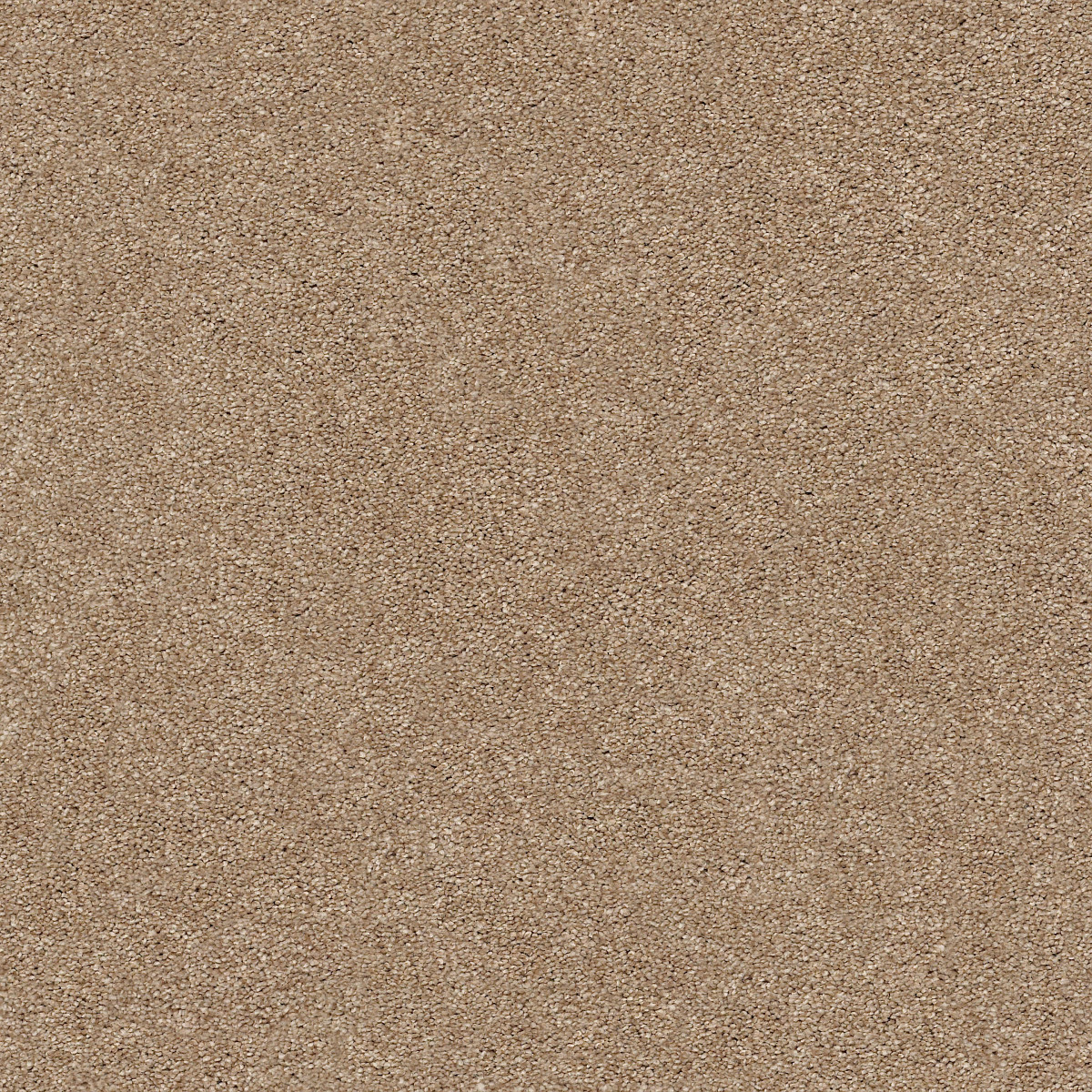 Shaw Floors Your Comfort I Falling Leaves flooring