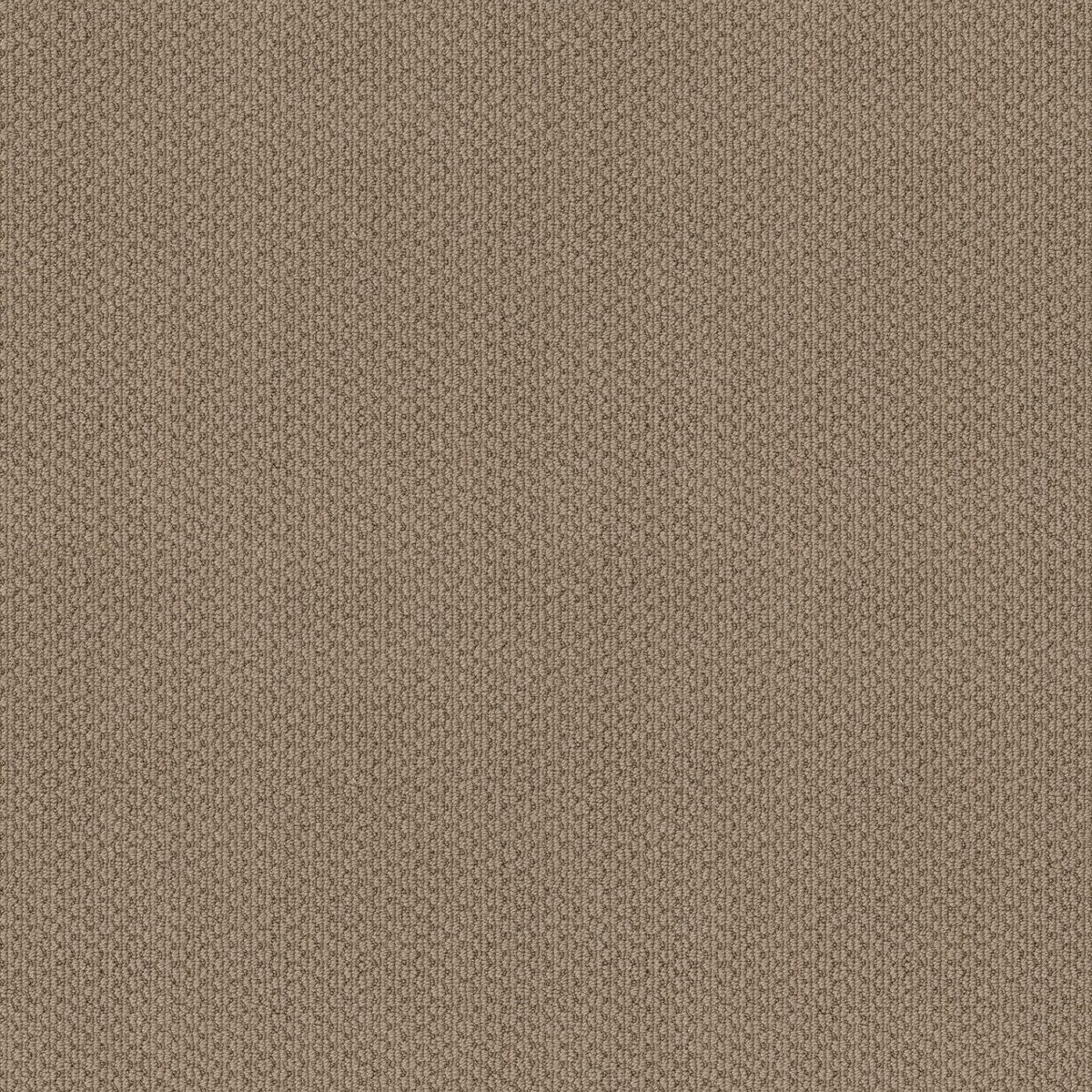 Shaw Floors Cathedral Hill II Sand Dune flooring