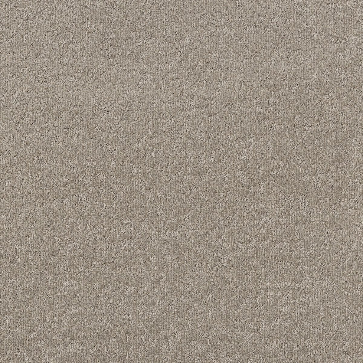 Shaw Floors Clever Blend Chic Greige flooring