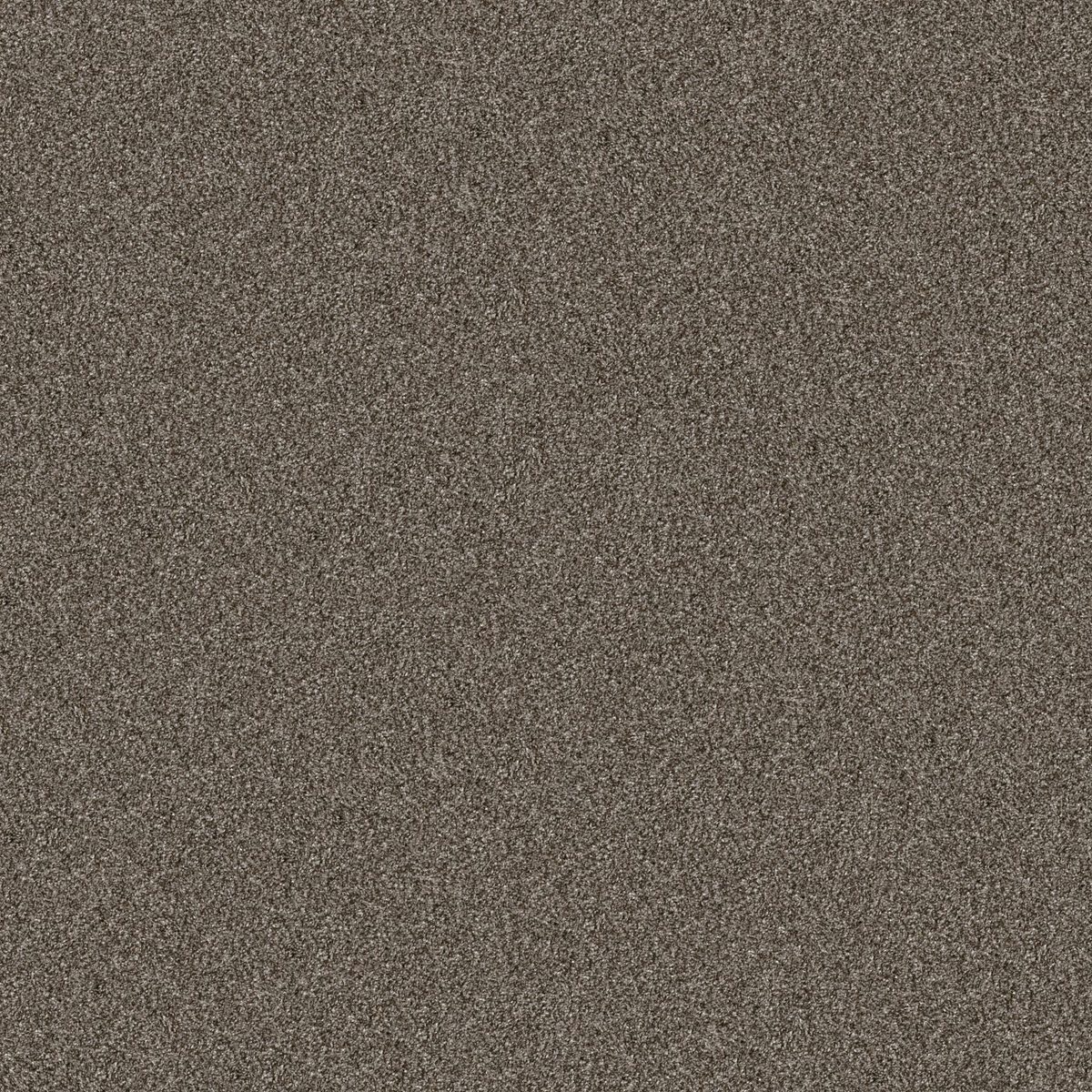 Shaw Floors Yes You Can I 12' Urban Rustic flooring
