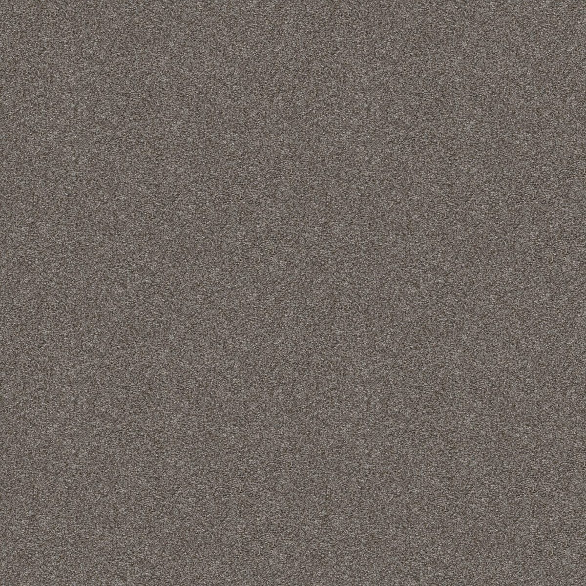 Shaw Floors Cabana Bay (T) Shadow flooring