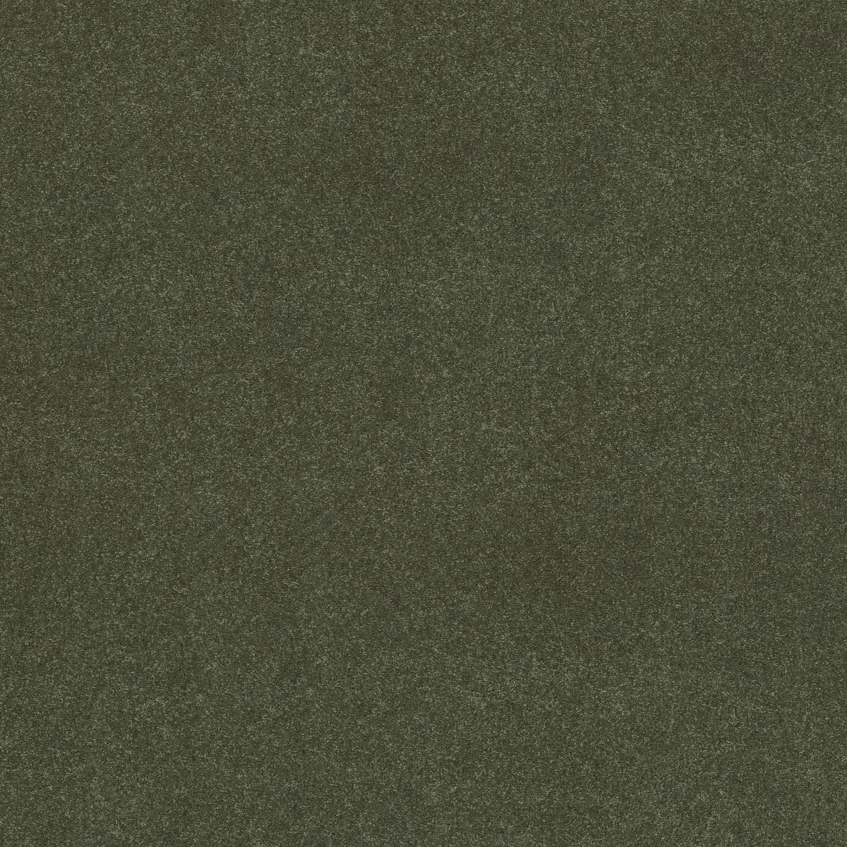 Shaw Floors Easy Spirit I Garden View flooring