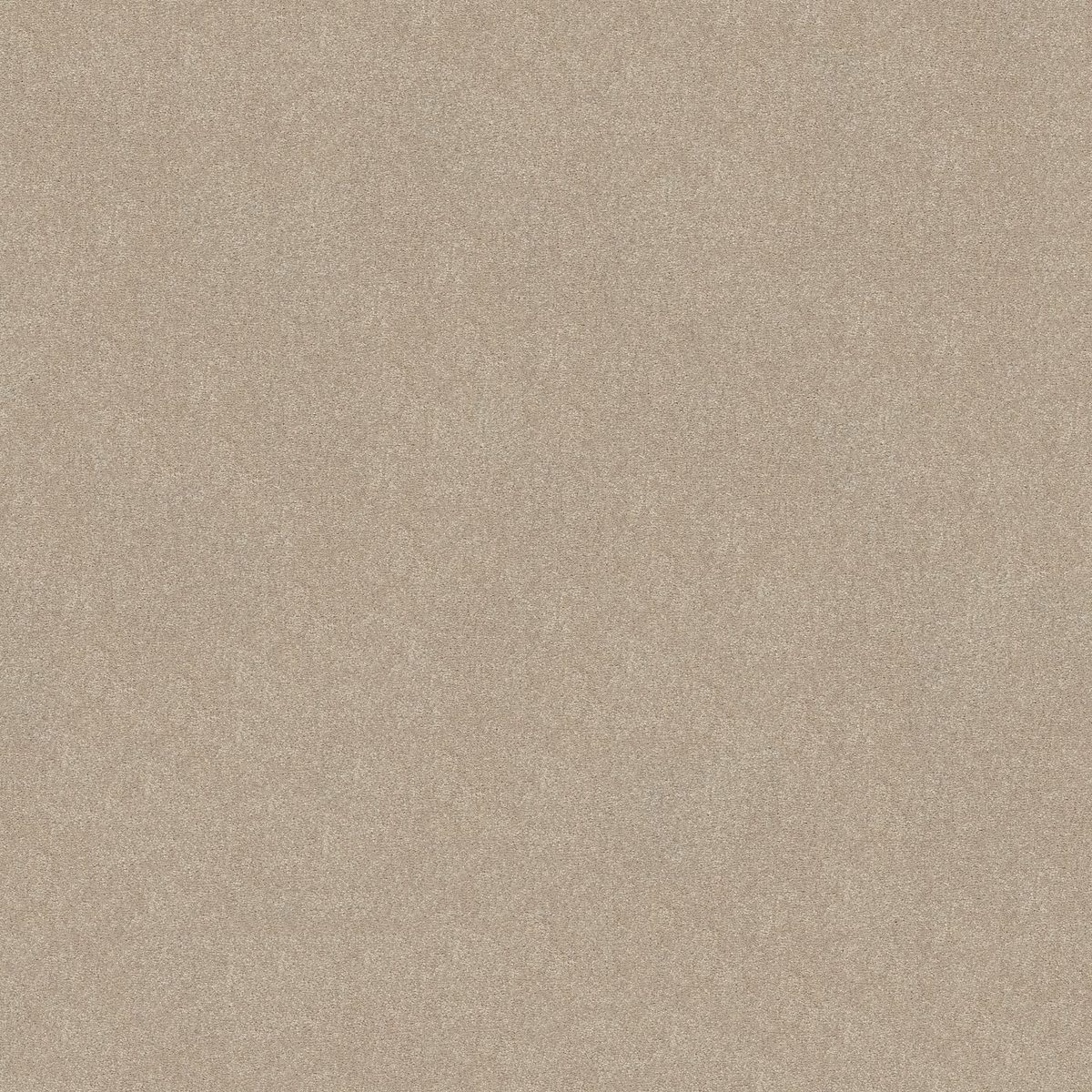 Shaw Floors Easy Spirit I Dreamy flooring