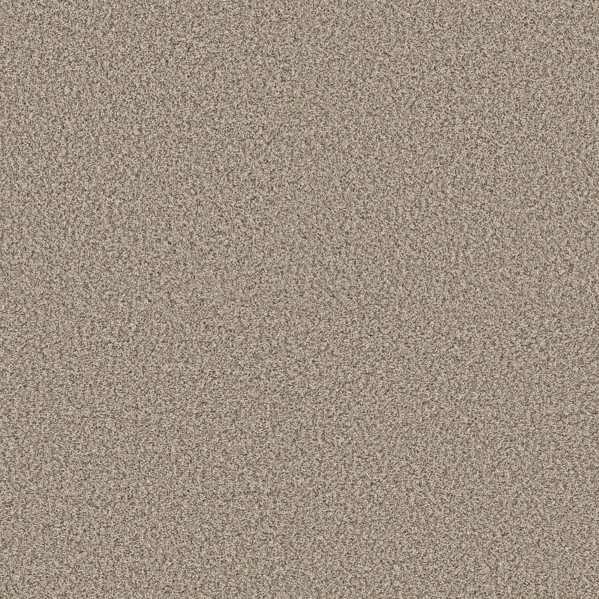Shaw Floors Yes You Can I 12' Natural flooring