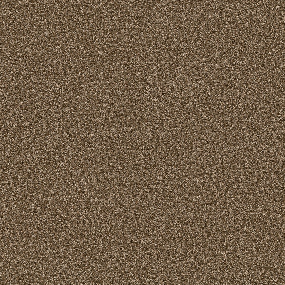Shaw Floors Break Away (B) Good Earth flooring