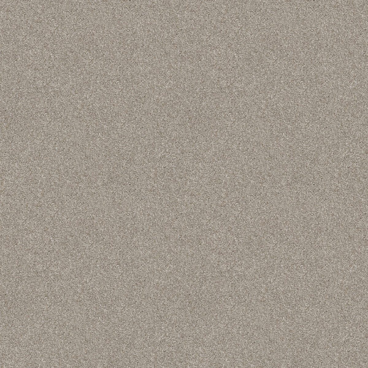 Shaw Floors Attainable (Tonal) Desert Light flooring