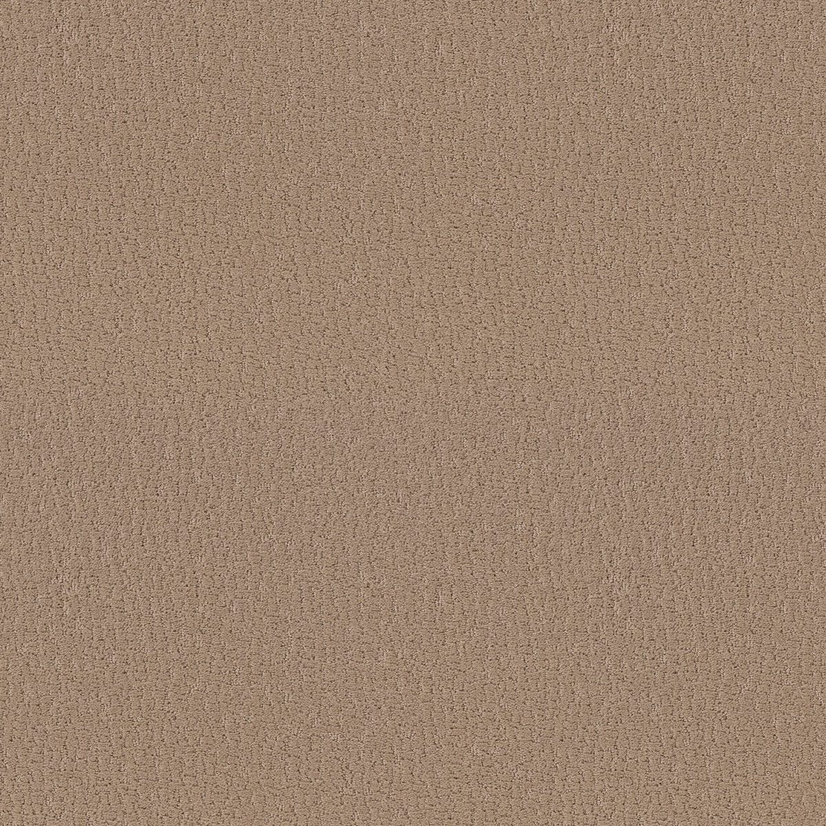 Shaw Floors Studio Set Worn Path flooring