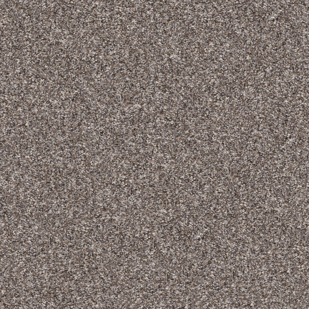Shaw Floors Yes You Can I 12' Alaskan Air flooring