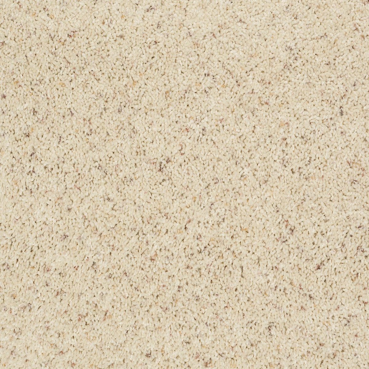 Shaw Floors Fusion Value 400 Charleston flooring