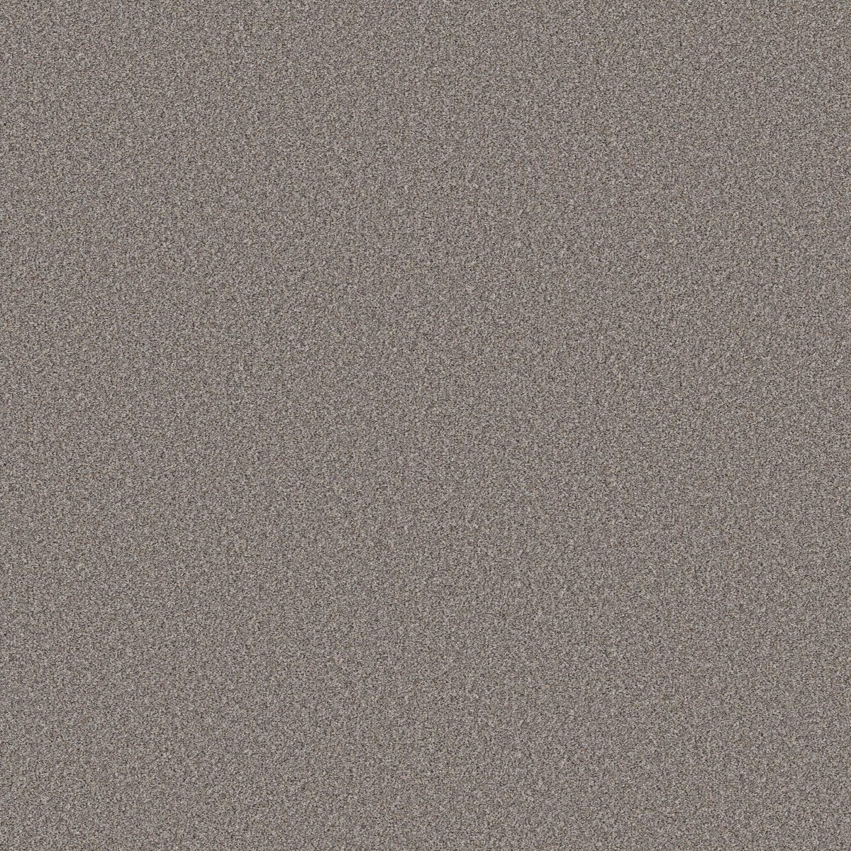 Shaw Floors Wonderland II Pier flooring