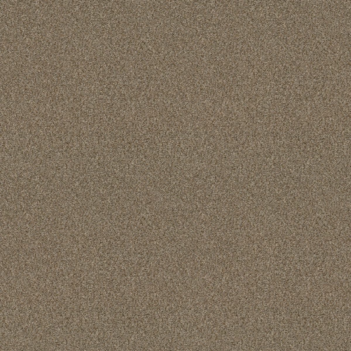 Shaw Floors Cabana Life (B) Mesa flooring