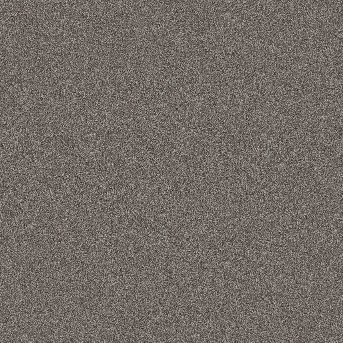 Shaw Floors Cabana Bay (T) Mountain Path flooring