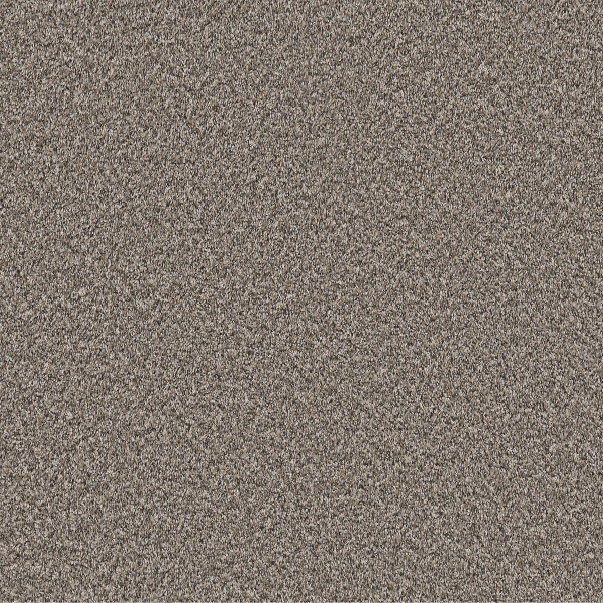 Shaw Floors Soft Radiance Mushroom flooring