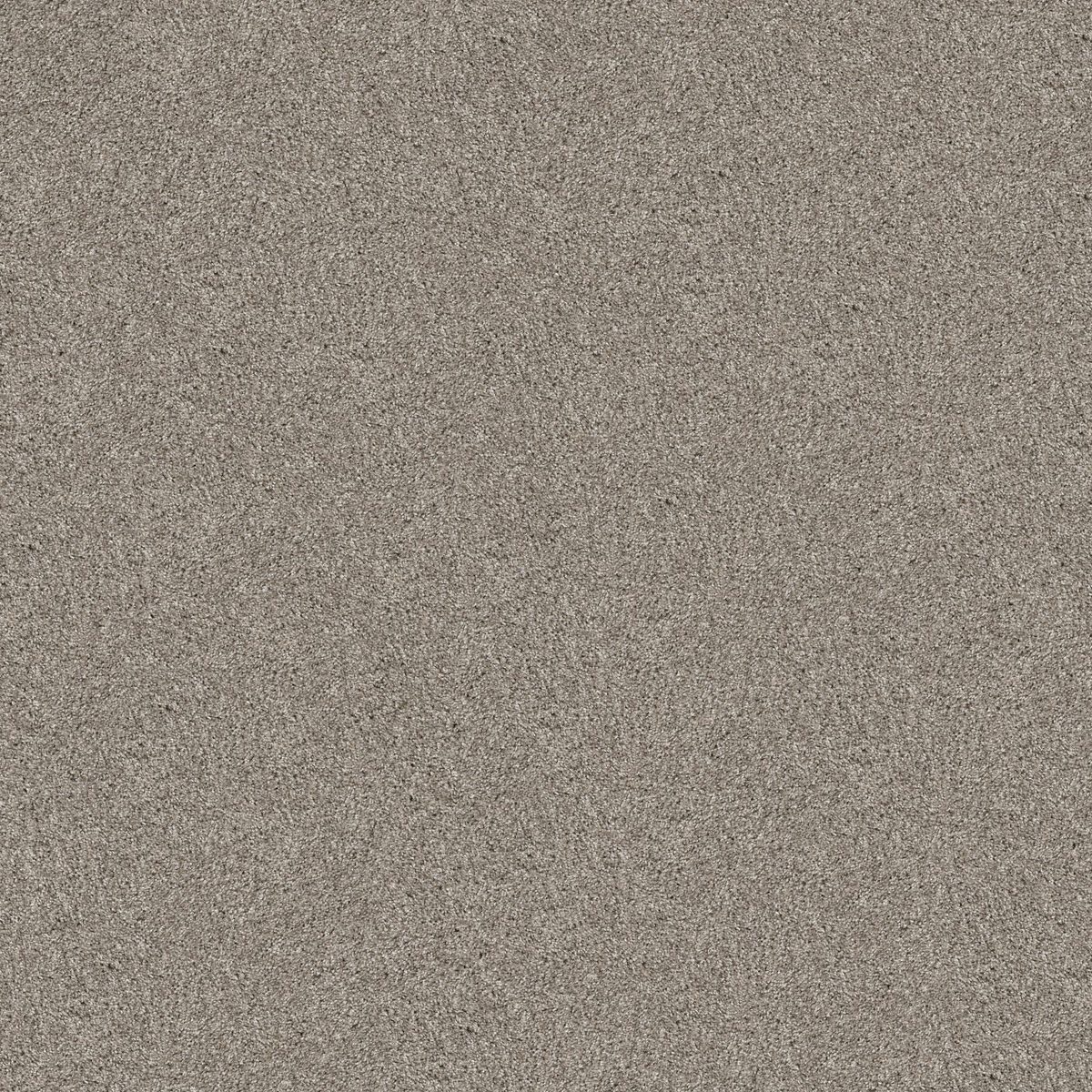 Shaw Floors Yes You Can I 12' Sculpture flooring