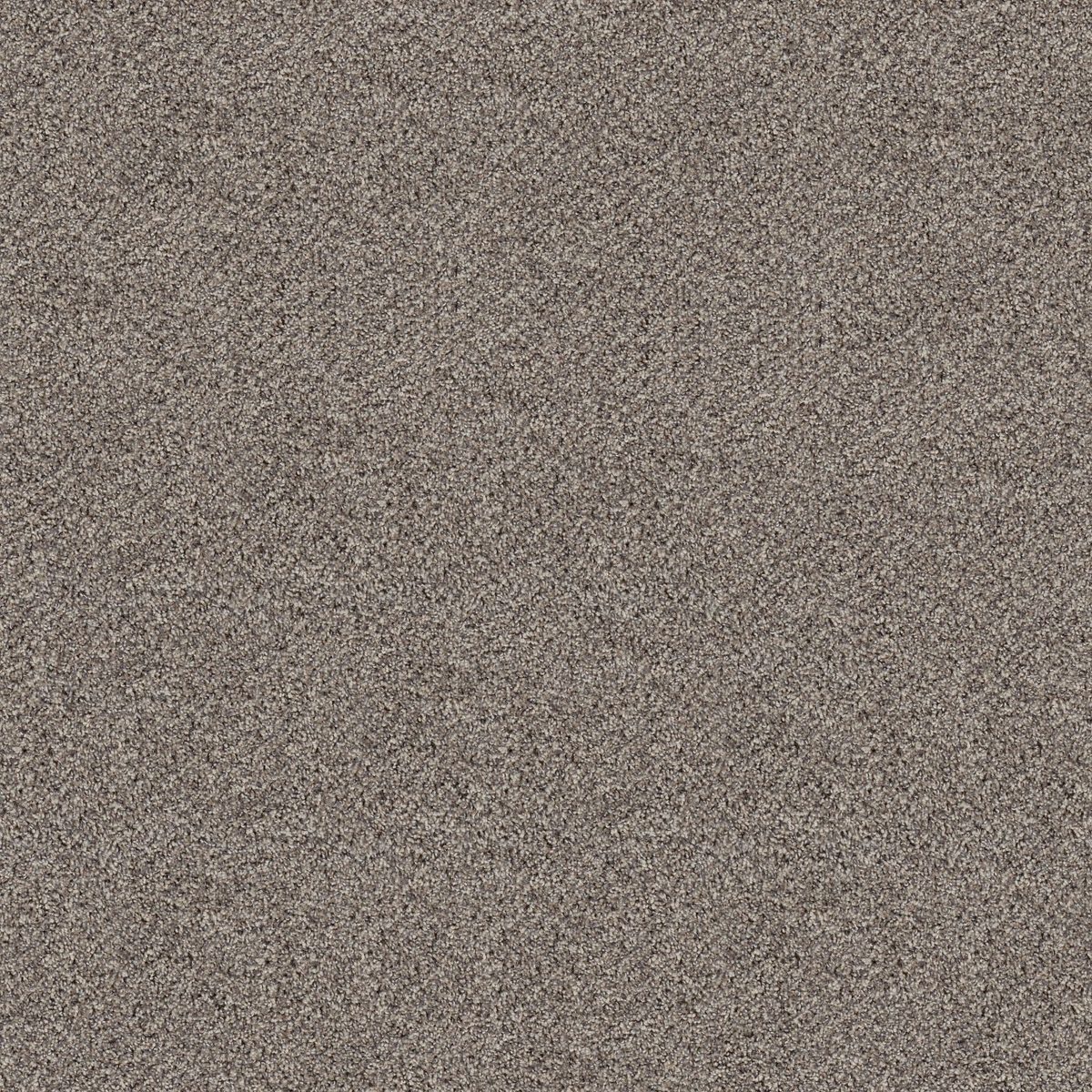 Shaw Floors Break Free Dove Feather flooring