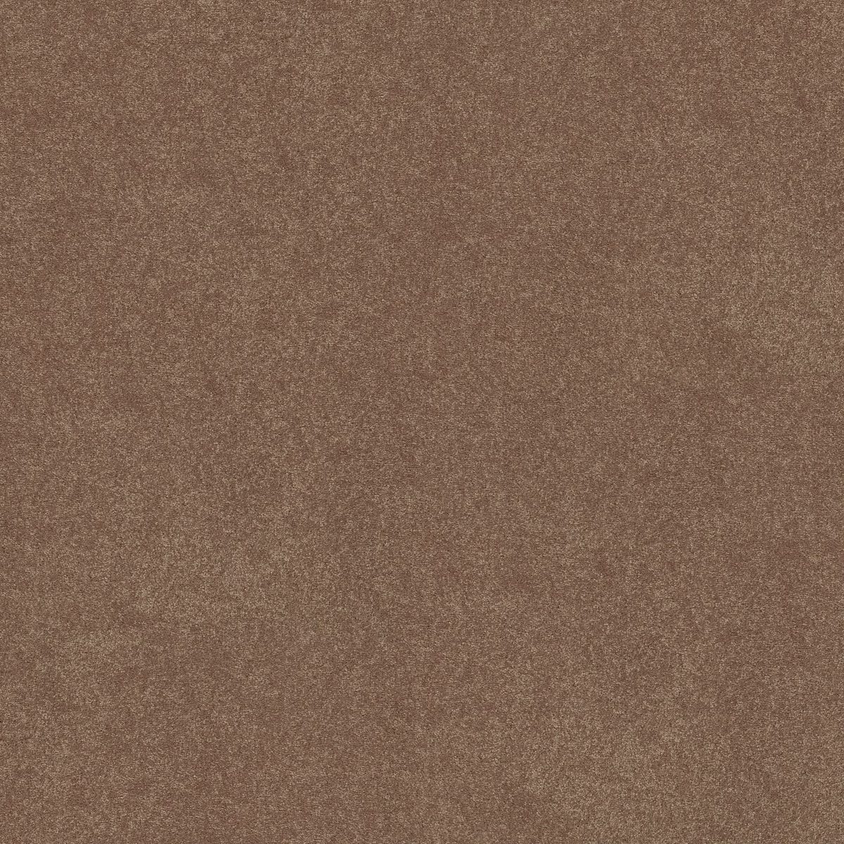 Shaw Floors Easy Spirit I Bungalow flooring