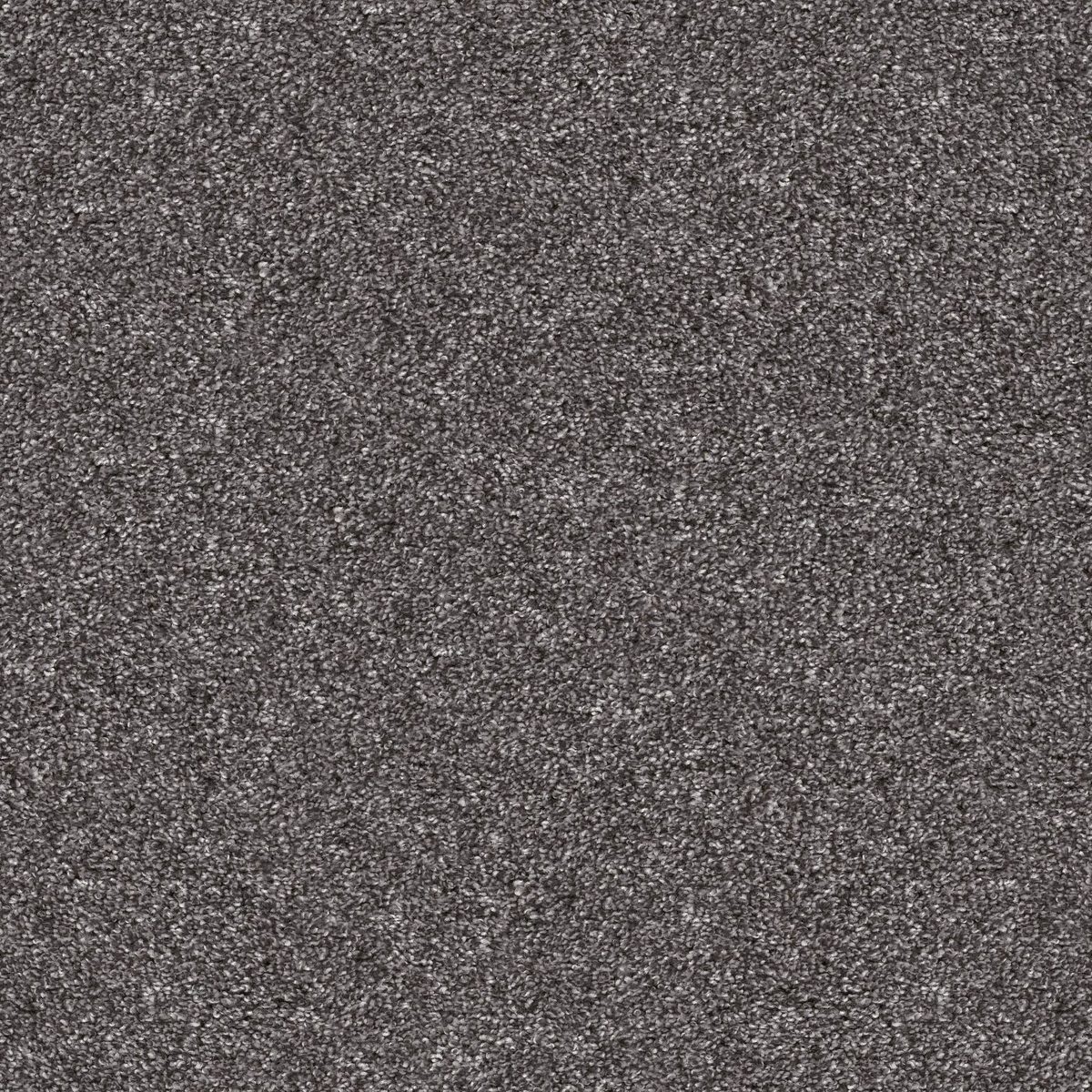 Shaw Floors Yes You Can I 12' Shadow flooring