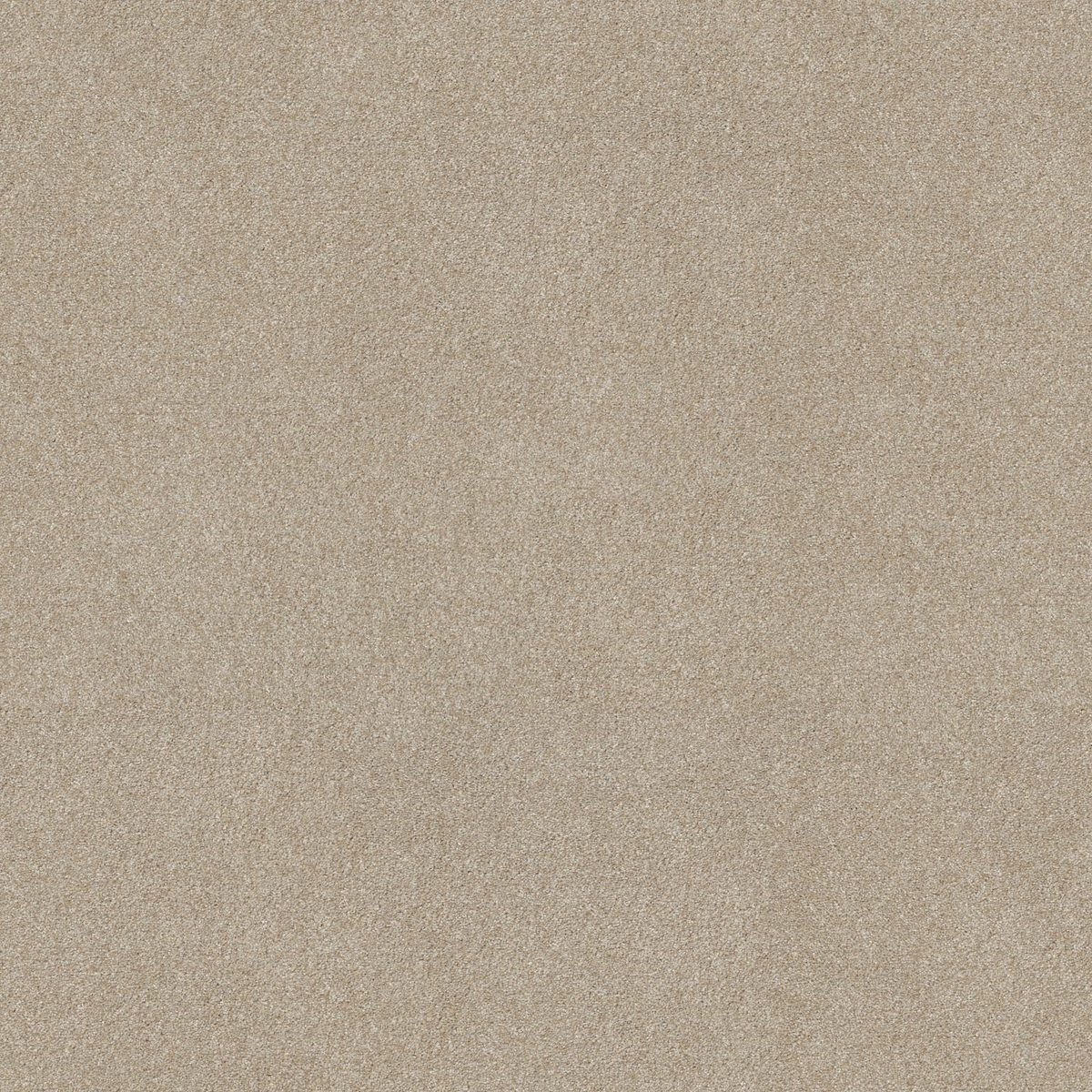 Shaw Floors Good Move III Practical Beige flooring