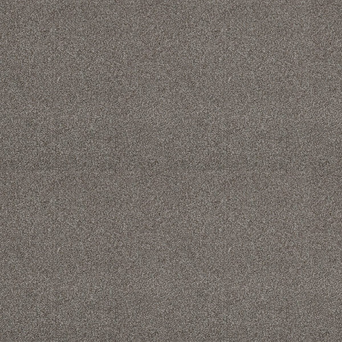Shaw Floors Attainable (Tonal) Cedar Ridge flooring