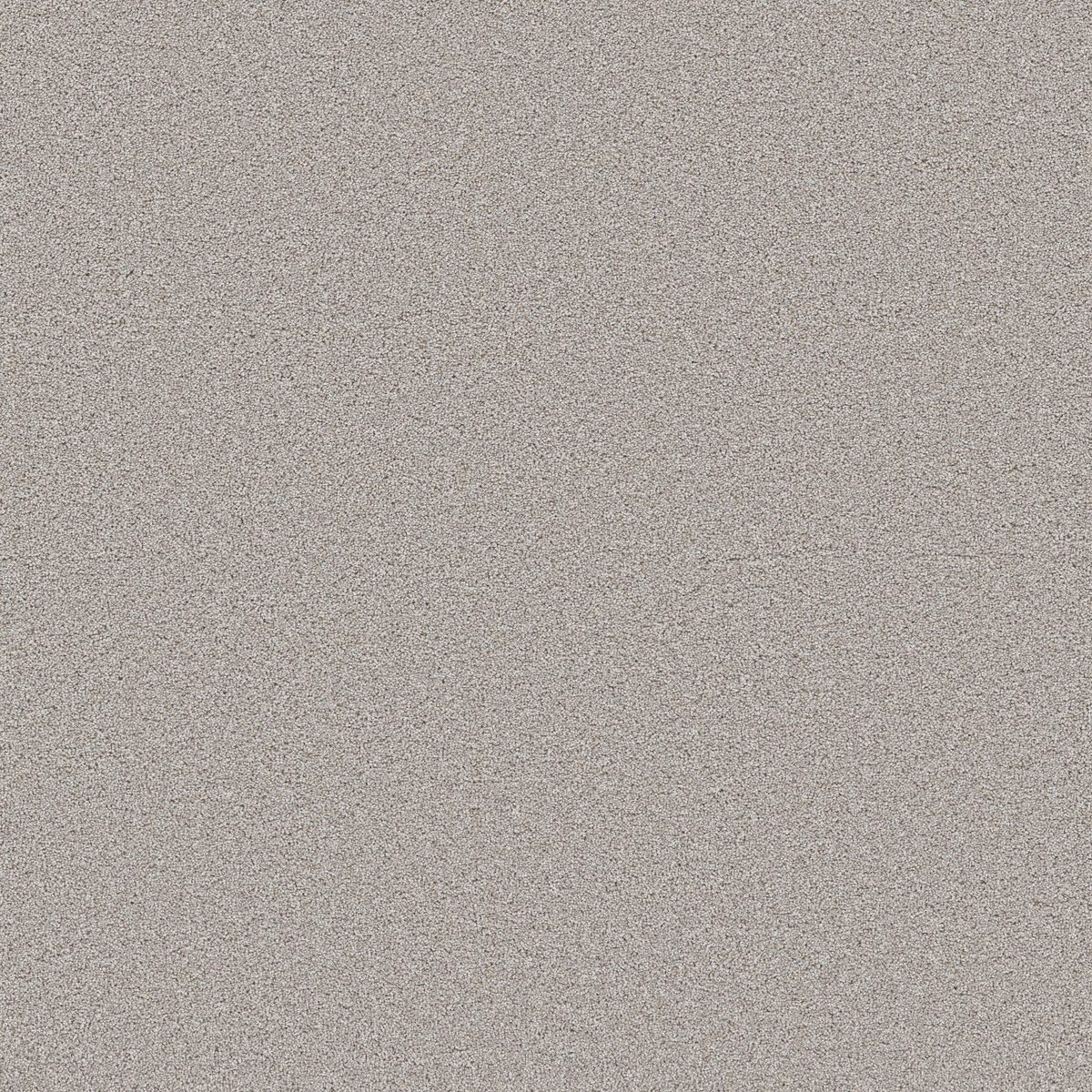 Shaw Floors Wonderland III 12' Antiquity flooring