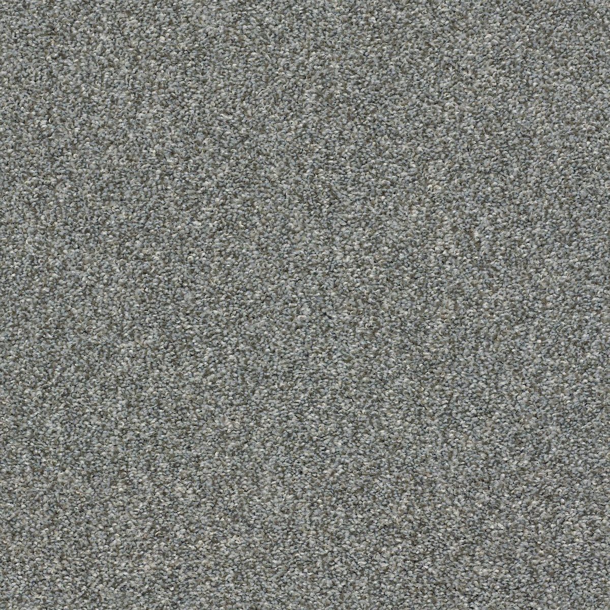 Shaw Floors Cabana Life (T) Shadow flooring