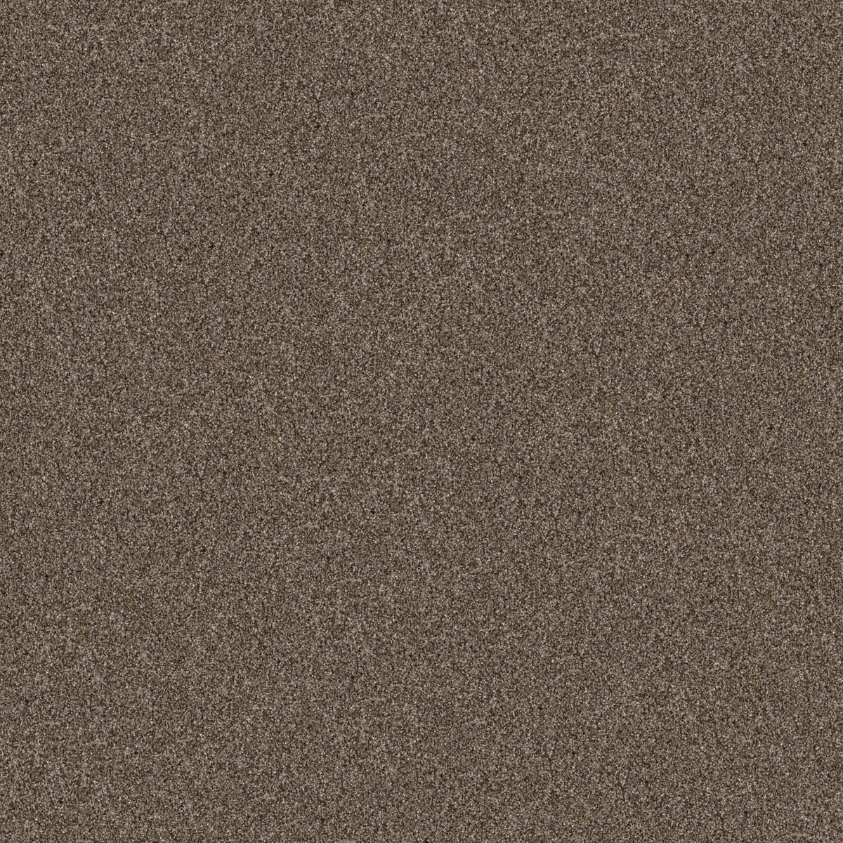 Shaw Floors Yes You Can I 12' Mission Ridge flooring